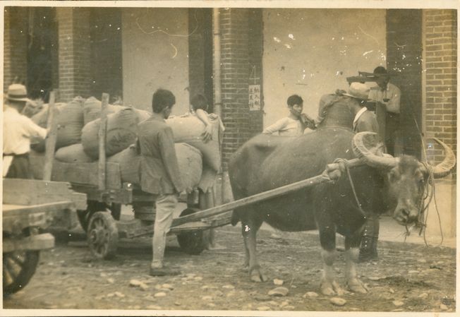 1939年日治昭和時期內湖庄米穀運送於農會
