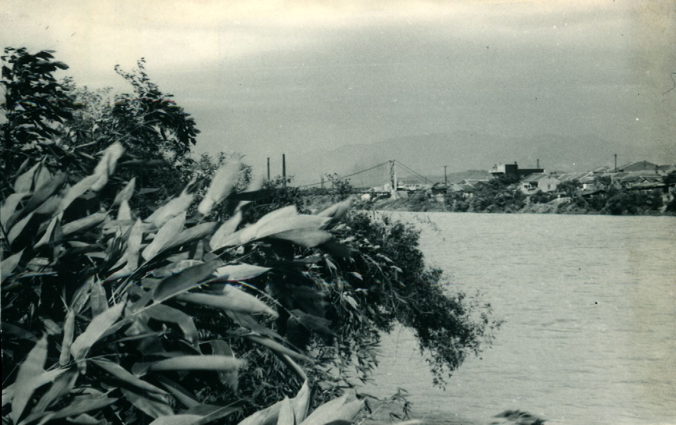 1950年代基隆河畔的士林吊橋