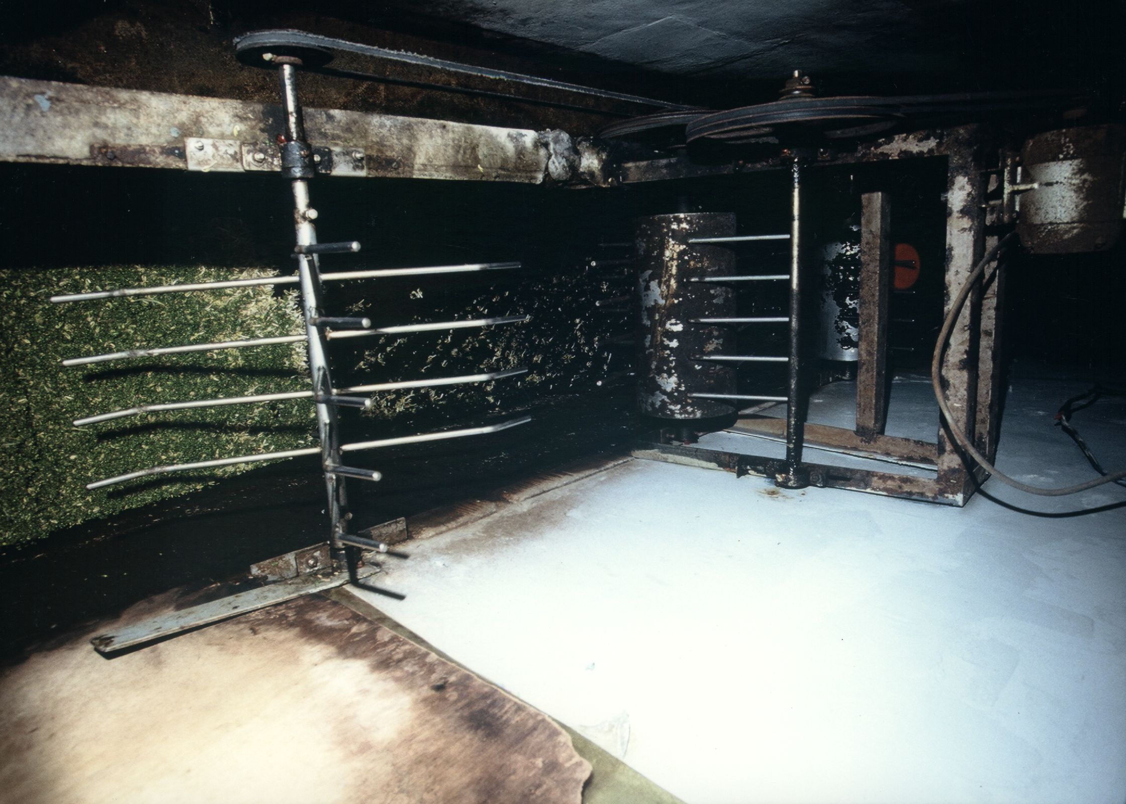 1990年代南萬華加蚋仔傳統洗豆芽菜作業