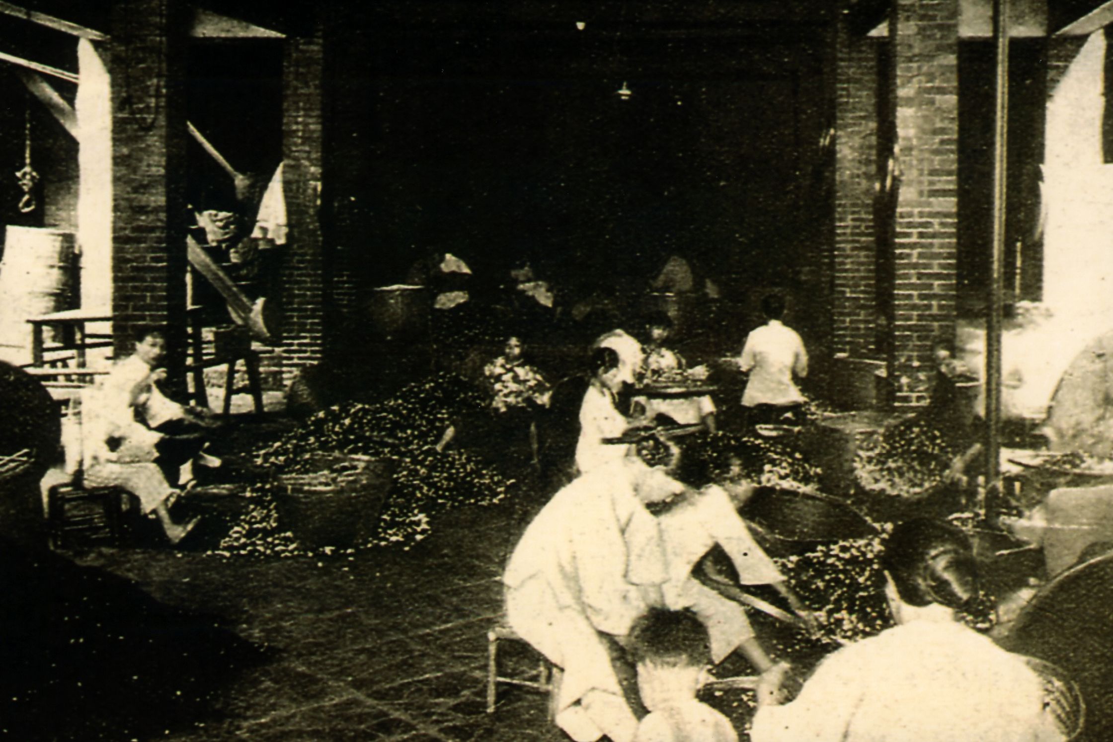 1930年代大稻埕父女正在進行包種茶香花作業