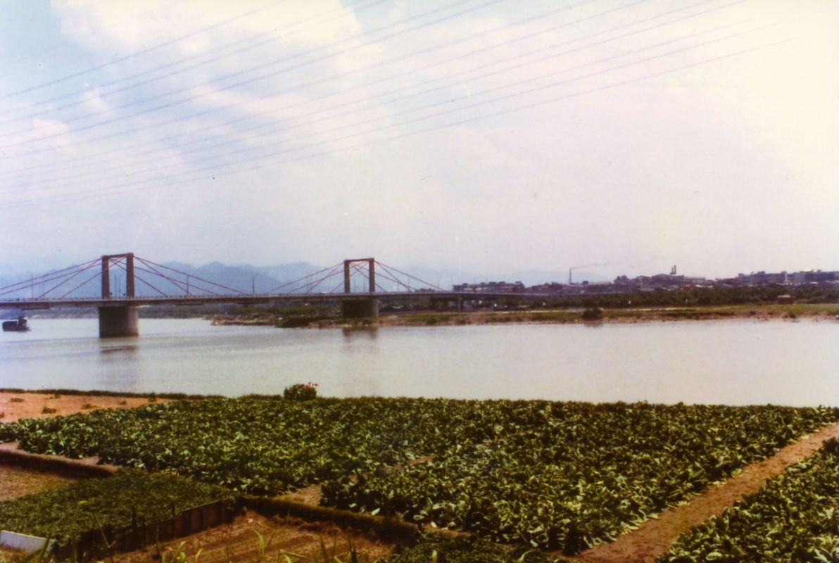 1960年代光復橋與新店溪畔的菜園