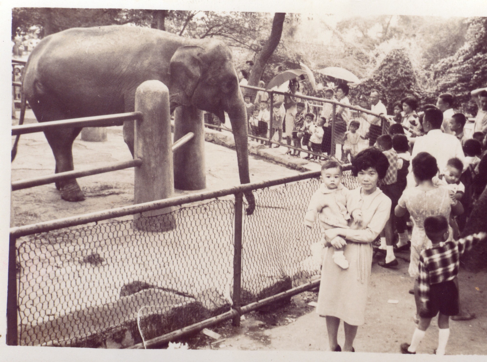 小孩喜歡大象(黃榮輝提供).jpg